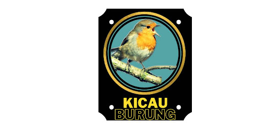 kicau burung lengkap Screen 3