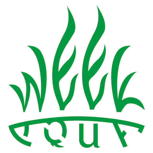 WEEK AQUA logo