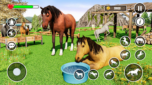 Wild Horse Family Life Game Screen 3