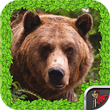 Animal Survival - Bear icon