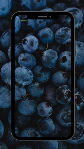 Fruit Wallpaper and Background