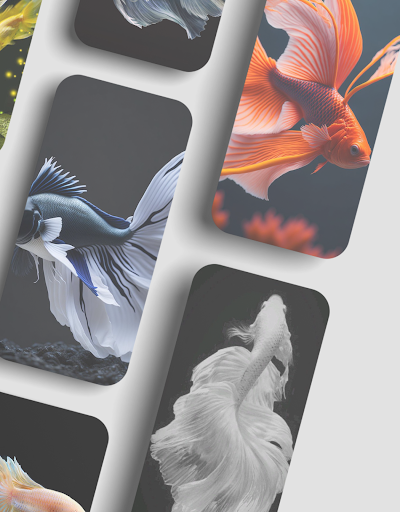 Betta Fish Wallpapers Screen 3