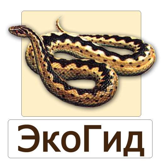 EcoGuide: Russian Reptiles 1.0.7 Icon