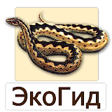 EcoGuide: Russian Reptiles Field Guide icon
