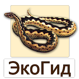 Icon image EcoGuide: Russian Reptiles