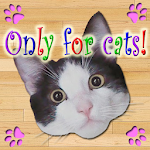 Cover Image of Download Only for Cats  APK