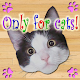 Only for Cats APK