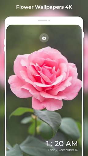 Flower Wallpapers 4K: FULL HD Screen 3