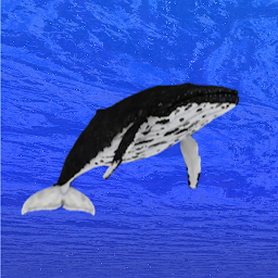 Icon image Whale training
