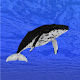 Whale training विंडोज़ पर डाउनलोड करें
