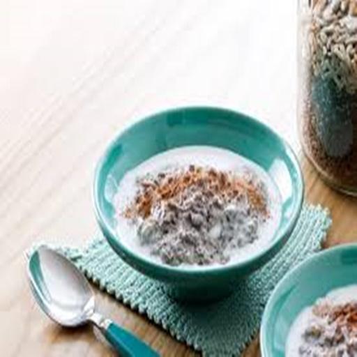 Judys fabulous low carb oatmeal