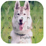 Husky Dog Puppy Keyboard Theme icon