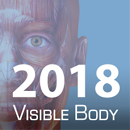 Symbolbild für 2018 Muscle Premium Perpetual