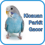 Cover Image of Download Kicauan Burung Parkit Gacor - Offline 1.0.0 APK