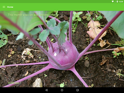 Gardroid - Vegetable Garden Screenshot