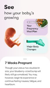 Flo Period & Pregnancy Tracker 6