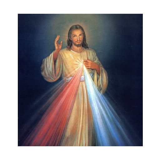 Divine Mercy Chaplet 8.2 Icon