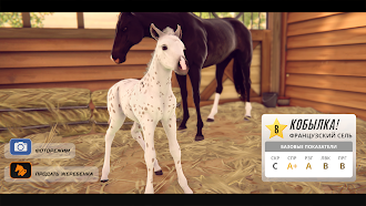 Game screenshot Состязание звезд: скачки apk download