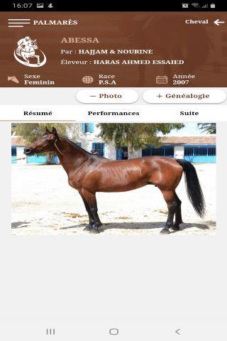 ESMET ALI Screen 3