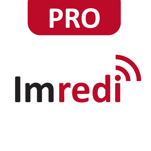 Imredi Audit Pro logo