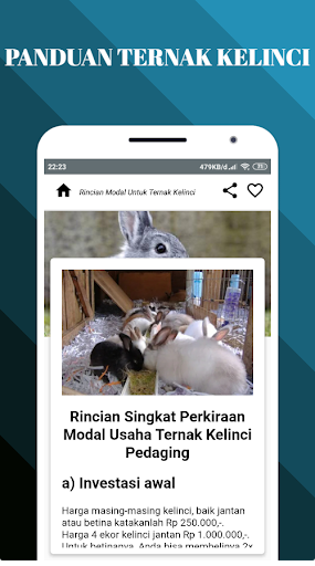 Panduan Lengkap Ternak Kelinci - Budidaya Kelinci