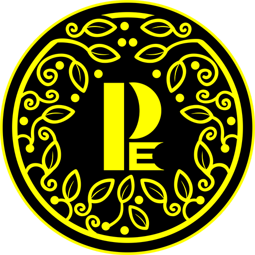 Paneri Kurtis logo