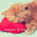Sweet Dreams Theme +HOME APK