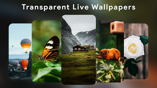 Android application Transparent Live Wallpapers screenshort