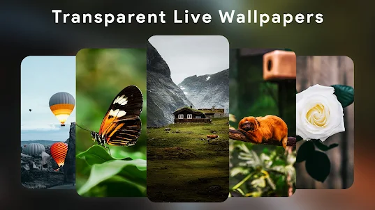 Transparent Live Wallpapers