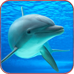 Cover Image of Télécharger Dolphin Wallpaper HD  APK