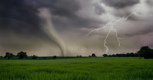 CMX - Real Nature Landscape We