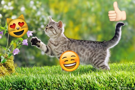 Emoji Photo Sticker Maker Pro Screenshot