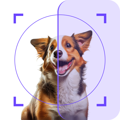 Animal Breed AI-Recognition Download on Windows