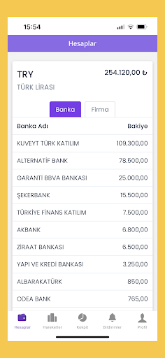 Finstant Banka Hesap Yönetimi Screen 2