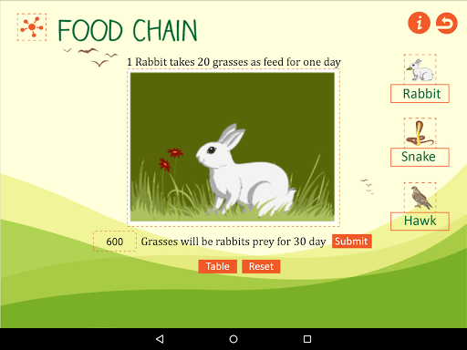 Ecological Pyramid-Food Chain
