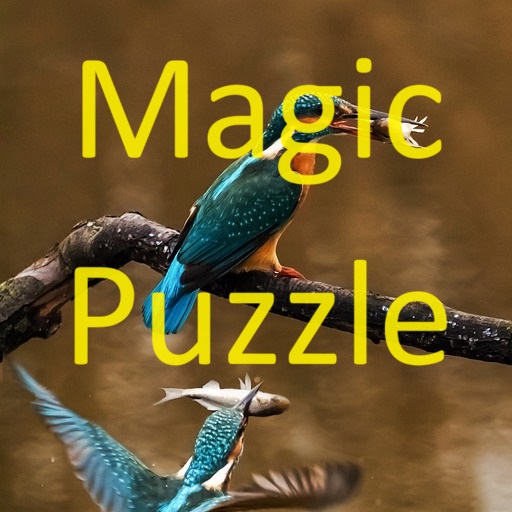 Magic Puzzle Premium logo