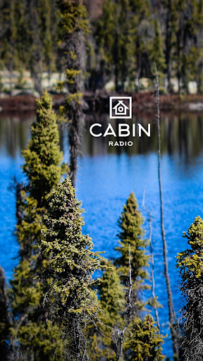 Cabin Radio Screen 3