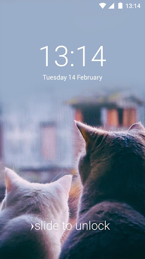 AppLock Theme Lovely Cat Screenshot 3 - AppWisp.com