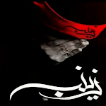 Cover Image of Descargar أروع لطميات حسينية بدون نت2022  APK