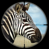 Zebra Safari Hunter - Wild Hunter 3D Simulation icon