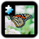 Jigsaw Puzzle: Butterfly icon