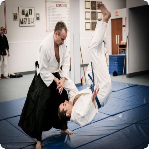 Learn Aikido