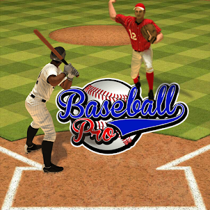 Baseball Game pro
