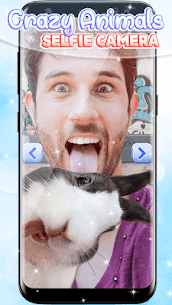 Crazy Animals Selfie Camera For Pc – Free Download (Windows 7, 8, 10) 2