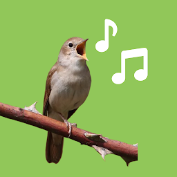 Icon image Bird Sounds