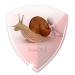 Cover Image of ダウンロード VPN over DNSトンネル：SlowDNS 2.6.6 APK