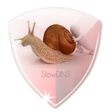 VPN Over DNS  Tunnel : SlowDNS icon