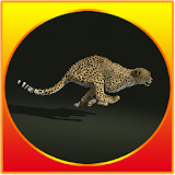 Cheetah runner go icon