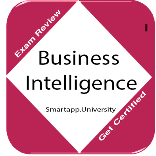 Business Intelligence: N & Q 1.0 Icon