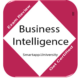 Icon image Business Intelligence: N & Q